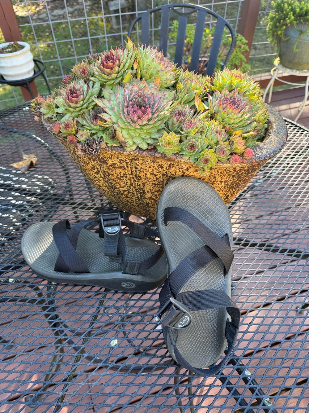 Chaco Men's Sandals in Olive Green with Black Straps